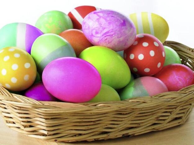 egg investing